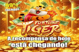 bingoplud